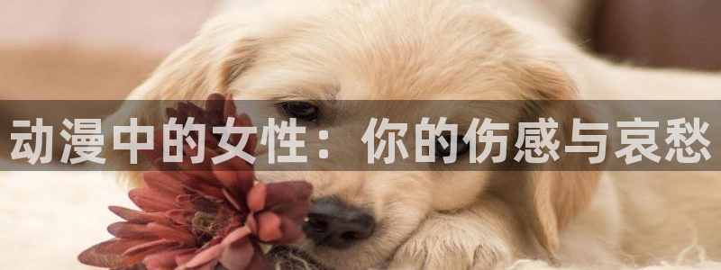 日本动漫里番免费观看：动漫中的女性：你的伤感与哀愁