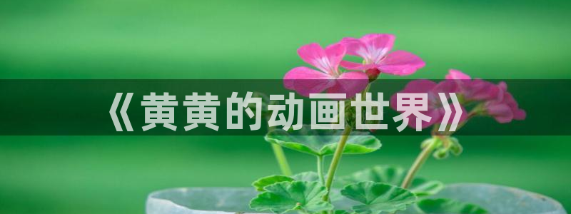 里番漫在线观看：《黄黄的动画世界》