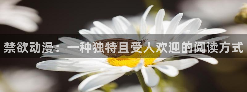 里番动漫图片：禁欲动漫：一种独特且受人欢迎的阅读方式