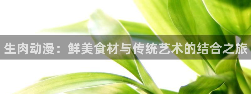 里番本子全彩漫画：生肉动漫：鲜美食材与传统艺术的结合之旅