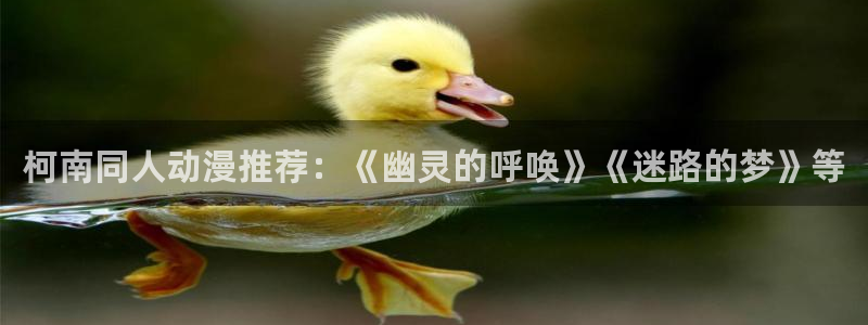 里番动漫入口：柯南同人动漫推荐：《幽灵的呼唤》《迷路的梦》等