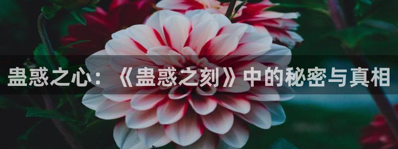 日本工口里番漫画全彩：蛊惑之心：《蛊惑之刻》中的秘密与真相