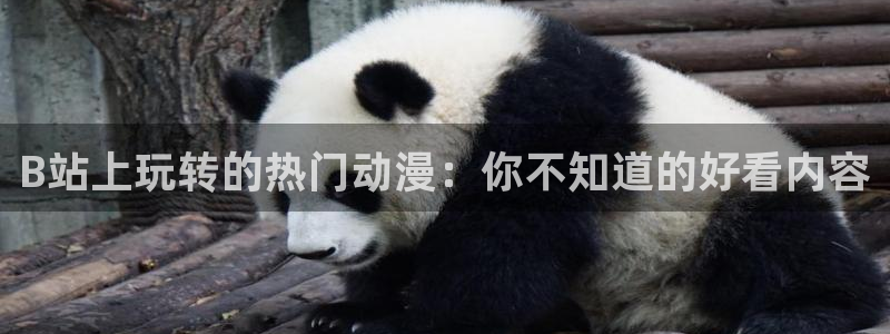 口里番漫画：B站上玩转的热门动漫：你不知道的好看内容